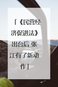 《民营经济促进法》出台后 张江有了新动作