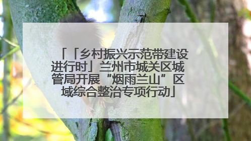 「乡村振兴示范带建设进行时」兰州市城关区城管局开展“烟雨兰山”区域综合整治专项行动