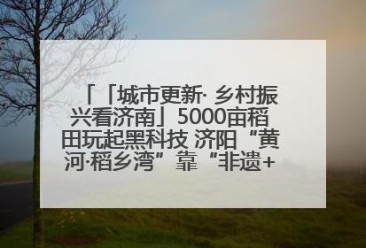 「城市更新· 乡村振兴看济南」5000亩稻田玩起黑科技 济阳“黄河·稻乡湾”靠“非遗+露营”火出圈