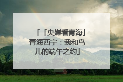 「央媒看青海」青海西宁：我和鸟儿的端午之约