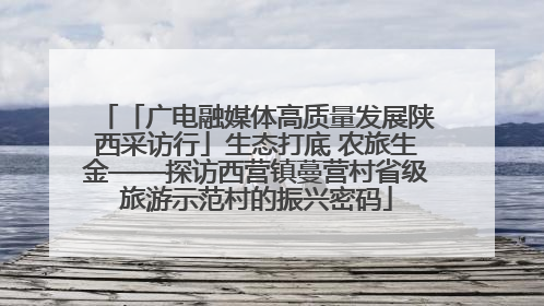 「广电融媒体高质量发展陕西采访行」生态打底 农旅生金——探访西营镇蔓营村省级旅游示范村的振兴密码