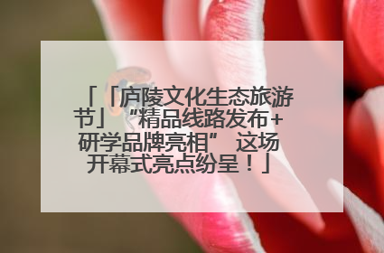 「庐陵文化生态旅游节」“精品线路发布+研学品牌亮相” 这场开幕式亮点纷呈！