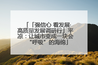 「强信心 看发展·高质量发展调研行」平凉：让城市变成一块会“呼吸”的海绵