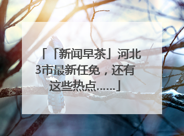 「新闻早茶」河北3市最新任免，还有这些热点……