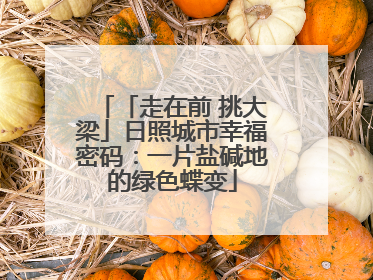 「走在前 挑大梁」日照城市幸福密码：一片盐碱地的绿色蝶变