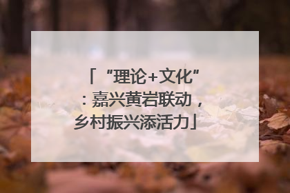 “理论+文化”：嘉兴黄岩联动，乡村振兴添活力