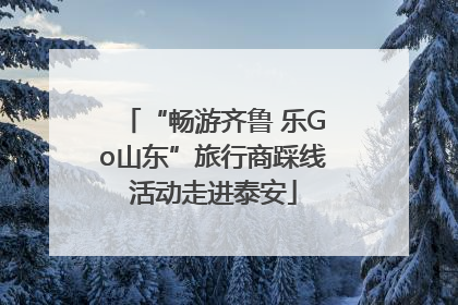 “畅游齐鲁 乐Go山东”旅行商踩线活动走进泰安