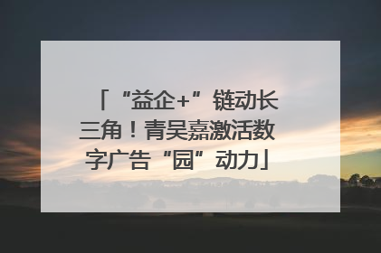 “益企+”链动长三角！青吴嘉激活数字广告“园”动力