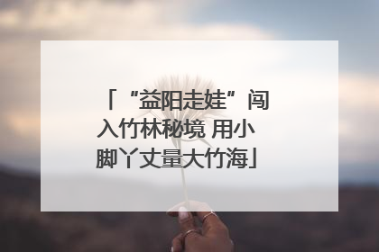 “益阳走娃”闯入竹林秘境 用小脚丫丈量大竹海