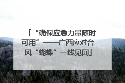“确保应急力量随时可用”——广西应对台风“蝴蝶”一线见闻