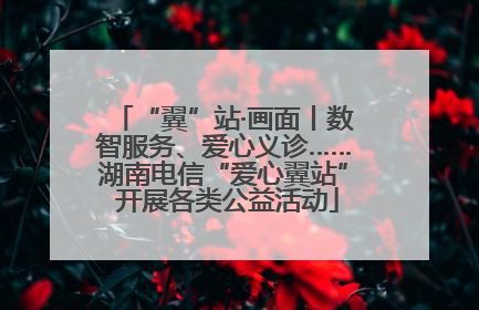 “翼”站·画面丨数智服务、爱心义诊……湖南电信“爱心翼站” 开展各类公益活动