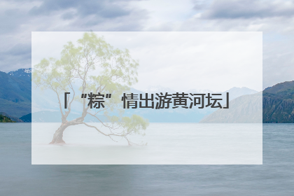 “粽”情出游黄河坛