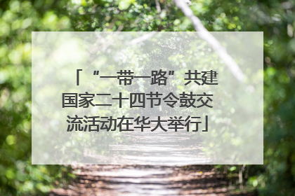 “一带一路”共建国家二十四节令鼓交流活动在华大举行