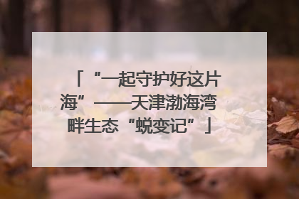 “一起守护好这片海”——天津渤海湾畔生态“蜕变记”