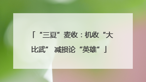 “三夏”麦收：机收“大比武” 减损论“英雄”