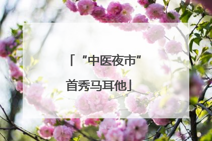 “中医夜市”首秀马耳他