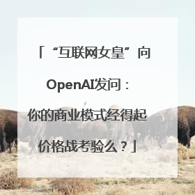 “互联网女皇”向OpenAI发问：你的商业模式经得起价格战考验么？