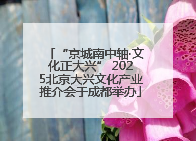 “京城南中轴·文化正大兴” 2025北京大兴文化产业推介会于成都举办