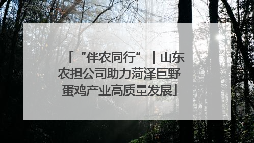 “伴农同行”｜山东农担公司助力菏泽巨野蛋鸡产业高质量发展
