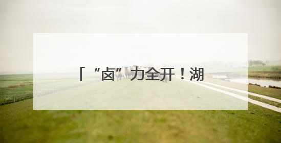 “卤”力全开！湖师大学子探秘武冈舌尖上的非遗密码