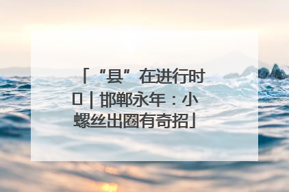 “县”在进行时⑬｜邯郸永年：小螺丝出圈有奇招