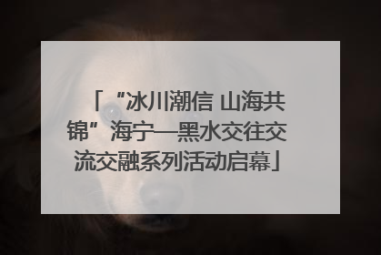 “冰川潮信 山海共锦”海宁—黑水交往交流交融系列活动启幕