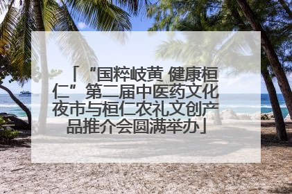 “国粹岐黄 健康桓仁”第二届中医药文化夜市与桓仁农礼文创产品推介会圆满举办