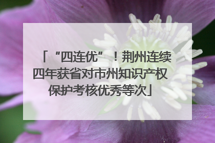 “四连优”！荆州连续四年获省对市州知识产权保护考核优秀等次