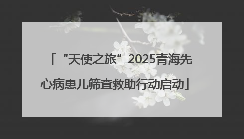 “天使之旅”2025青海先心病患儿筛查救助行动启动