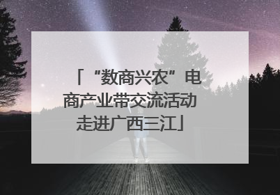 “数商兴农”电商产业带交流活动走进广西三江