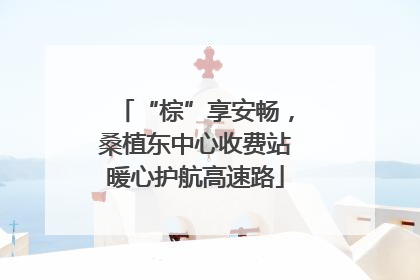 “棕”享安畅，桑植东中心收费站暖心护航高速路