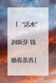 “活水”润新芽 钱塘春茶香