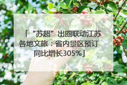 “苏超”出圈联动江苏各地文旅：省内景区预订同比增长305%