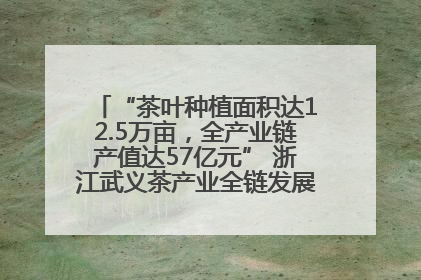 “茶叶种植面积达12.5万亩，全产业链产值达57亿元” 浙江武义茶产业全链发展“加速度”
