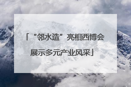 “邻水造”亮相西博会 展示多元产业风采