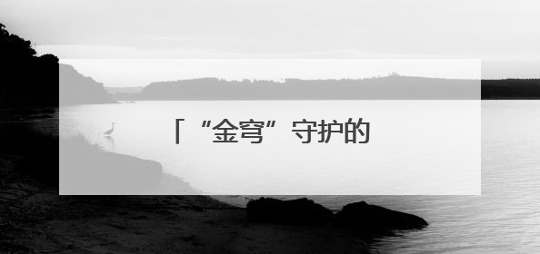 “金穹”守护的是谁的天空？