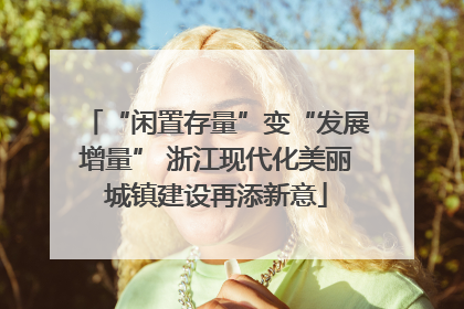 “闲置存量”变“发展增量” 浙江现代化美丽城镇建设再添新意