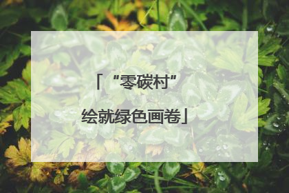 “零碳村” 绘就绿色画卷