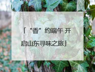 “香”约端午 开启山东寻味之旅