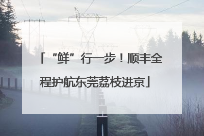 “鲜”行一步！顺丰全程护航东莞荔枝进京
