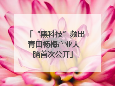 “黑科技”频出 青田杨梅产业大脑首次公开