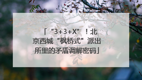 “3+3+X”！北京西城“枫桥式”派出所里的矛盾调解密码