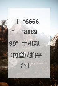 “6666”“888999”手机靓号再登法拍平台