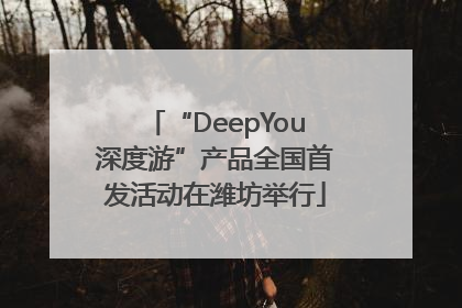 “DeepYou深度游”产品全国首发活动在潍坊举行