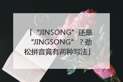“JINSONG”还是“JINGSONG”？劲松拼音竟有两种写法
