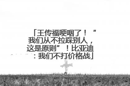 王传福哽咽了！“我们从不拉踩别人，这是原则”！比亚迪：我们不打价格战