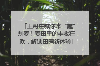 王哥庄喊你来“趣”割麦！麦田里的丰收狂欢，解锁田园新体验