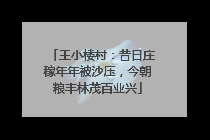 王小楼村：昔日庄稼年年被沙压，今朝粮丰林茂百业兴