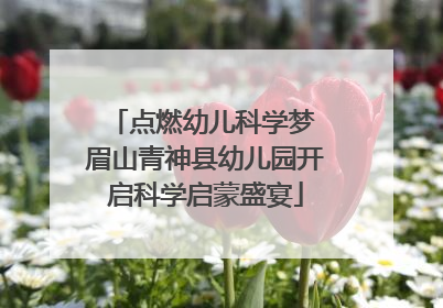 点燃幼儿科学梦 眉山青神县幼儿园开启科学启蒙盛宴