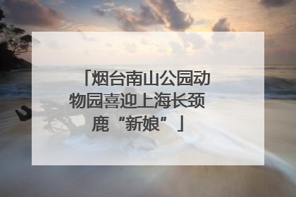 烟台南山公园动物园喜迎上海长颈鹿“新娘”